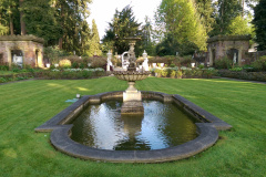 Beautiful garden